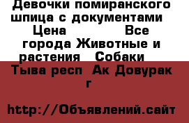 Девочки помиранского шпица с документами › Цена ­ 23 000 - Все города Животные и растения » Собаки   . Тыва респ.,Ак-Довурак г.